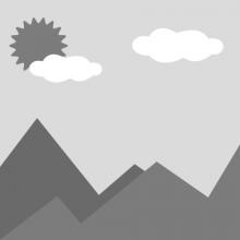 桥梁用高性能焊接结构钢板